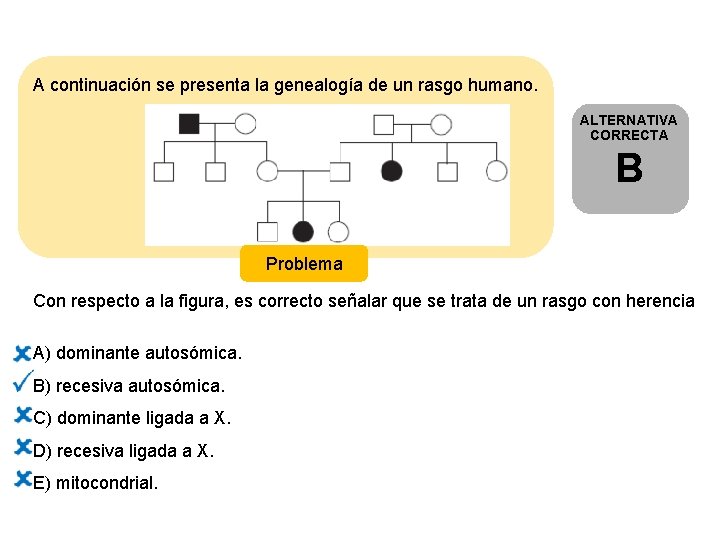 A continuación se presenta la genealogía de un rasgo humano. ALTERNATIVA CORRECTA B Problema