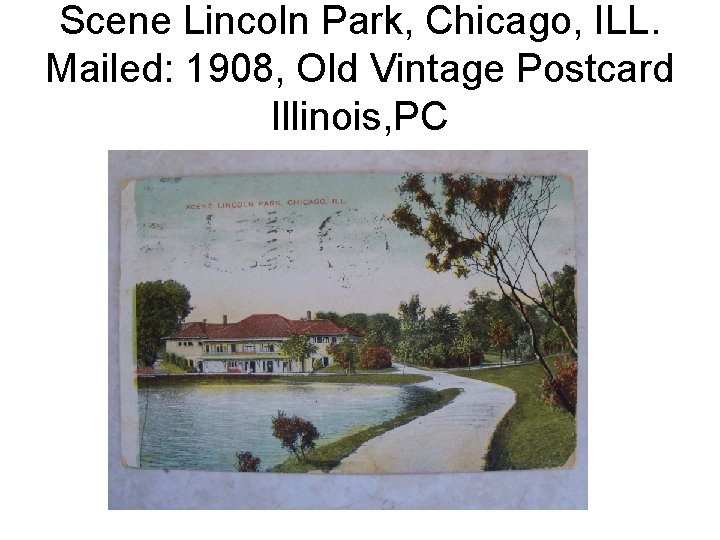 Scene Lincoln Park, Chicago, ILL. Mailed: 1908, Old Vintage Postcard Illinois, PC 