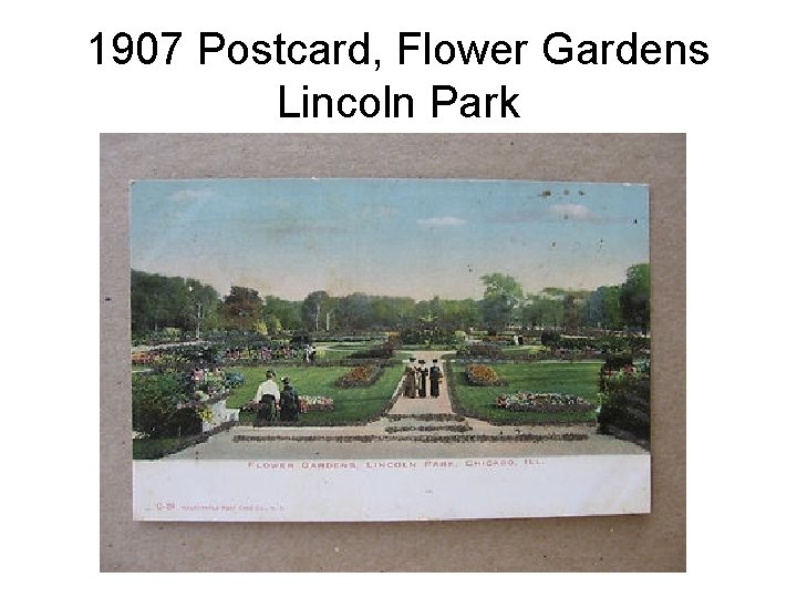 1907 Postcard, Flower Gardens Lincoln Park 