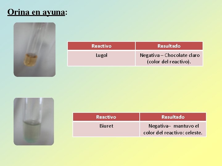 Orina en ayuna: Reactivo Resultado Lugol Negativa – Chocolate claro (color del reactivo). Reactivo