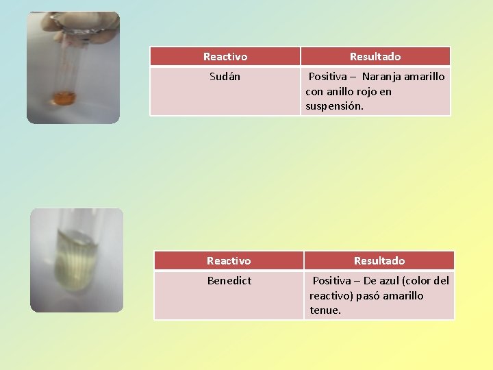 Reactivo Resultado Sudán Positiva – Naranja amarillo con anillo rojo en suspensión. Reactivo Resultado