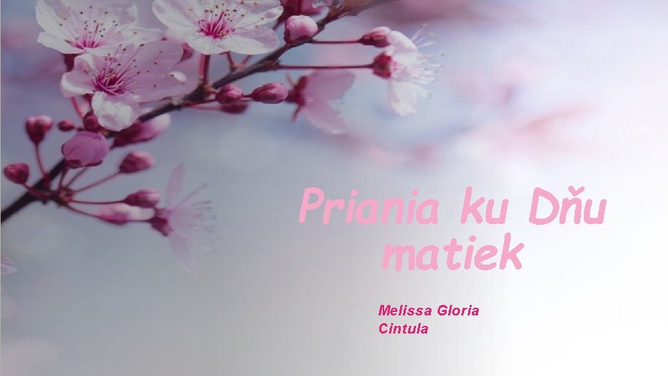 Priania ku Dňu matiek Melissa Gloria Cintula 