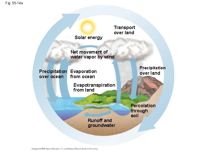 Fig. 55 -14 a Solar energy Transport over land Net movement of water vapor