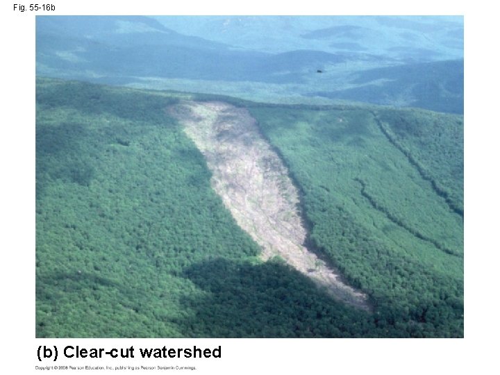 Fig. 55 -16 b (b) Clear-cut watershed 
