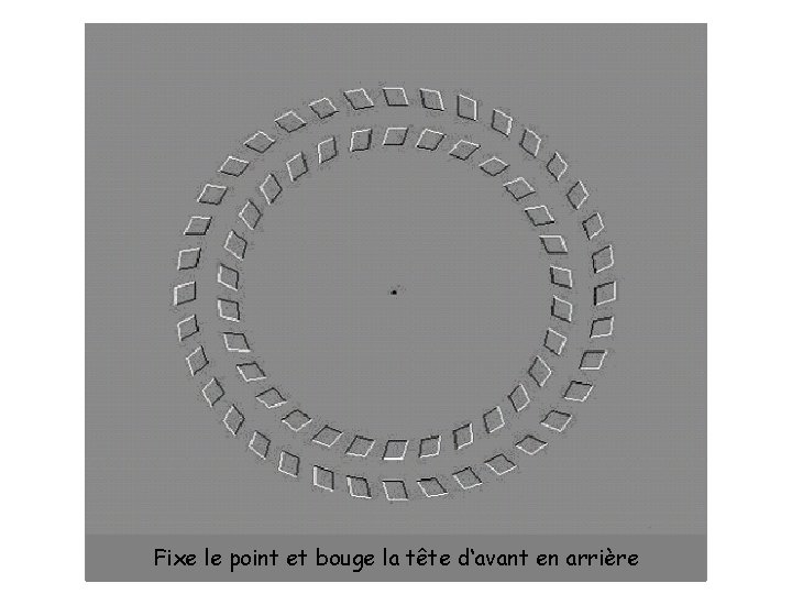 Fixe le point et bouge la tête d‘avant en arrière 