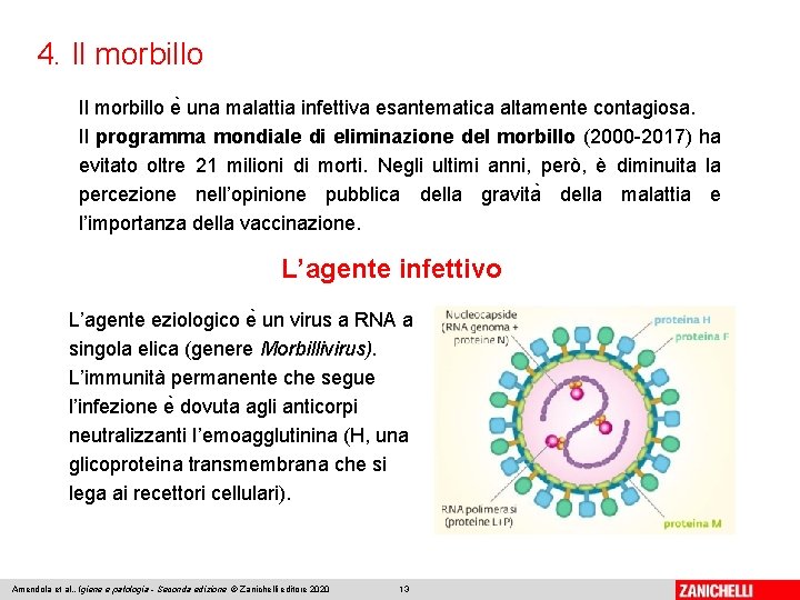 4. Il morbillo e una malattia infettiva esantematica altamente contagiosa. Il programma mondiale di