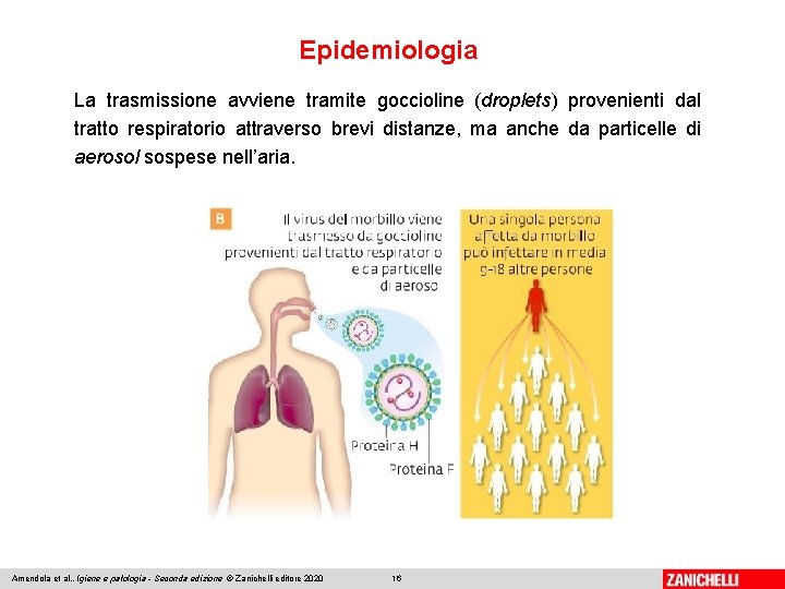 Epidemiologia La trasmissione avviene tramite goccioline (droplets) provenienti dal tratto respiratorio attraverso brevi distanze,