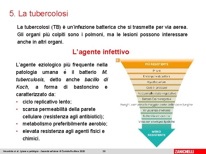 5. La tubercolosi (TB) è un’infezione batterica che si trasmette per via aerea. Gli