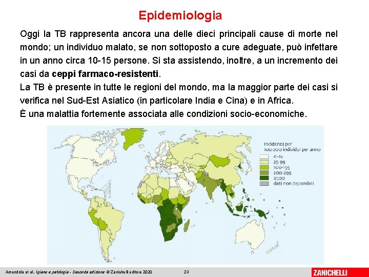 Epidemiologia Oggi la TB rappresenta ancora una delle dieci principali cause di morte nel