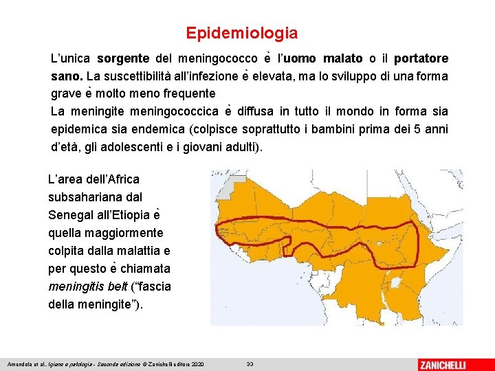 Epidemiologia L’unica sorgente del meningococco e l’uomo malato o il portatore sano. La suscettibilità