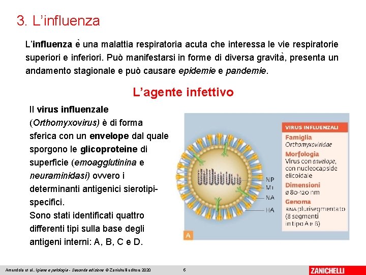 3. L’influenza e una malattia respiratoria acuta che interessa le vie respiratorie superiori e