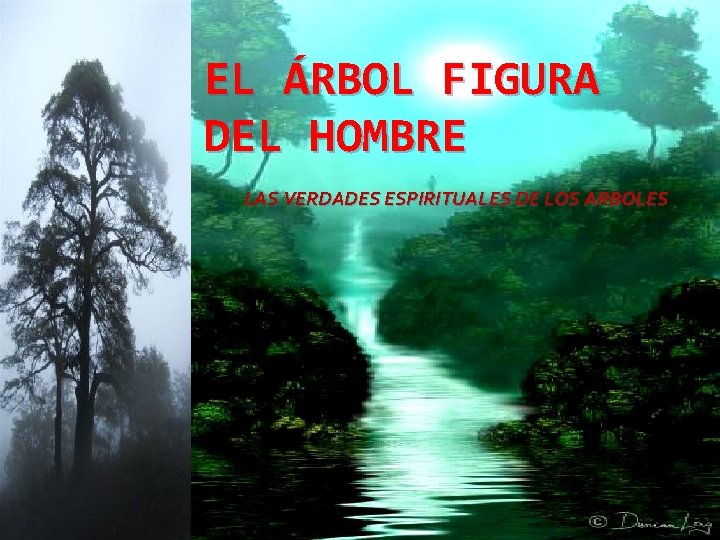 EL ÁRBOL FIGURA DEL HOMBRE LAS VERDADES ESPIRITUALES DE LOS ARBOLES 