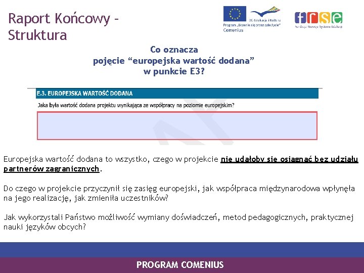 Raport Końcowy – Struktura Co oznacza pojęcie “europejska wartość dodana” w punkcie E 3?