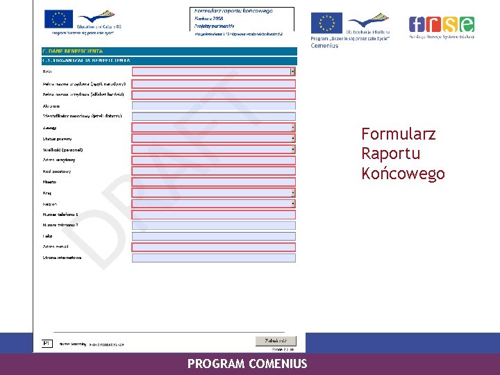 Formularz Raportu Końcowego PROGRAM COMENIUS 