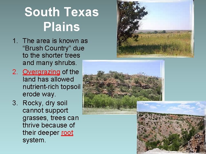 South Texas Plains 1. The area is known as “Brush Country” due to the