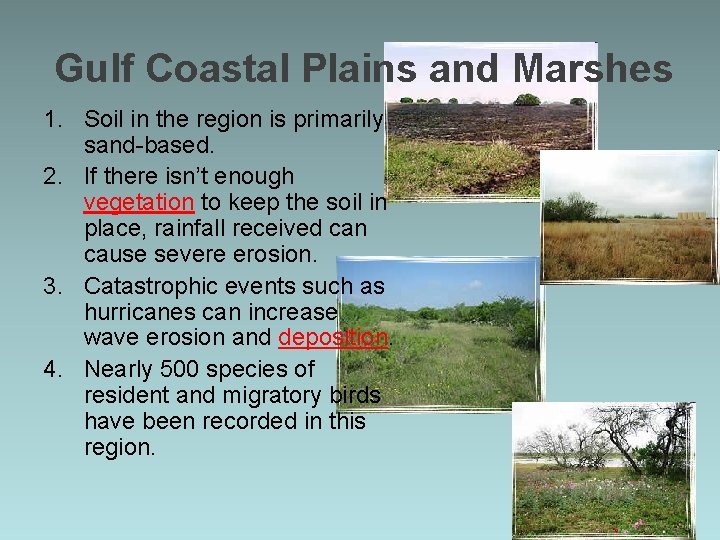 Gulf Coastal Plains and Marshes 1. Soil in the region is primarily sand-based. 2.