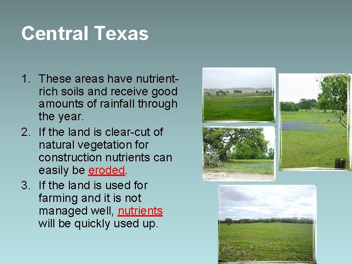Central Texas 1. These areas have nutrientrich soils and receive good amounts of rainfall