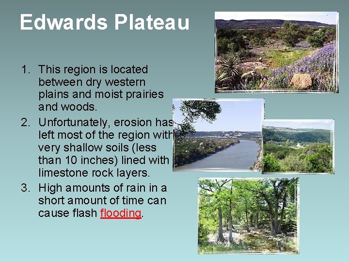 Edwards Plateau 1. This region is located between dry western plains and moist prairies