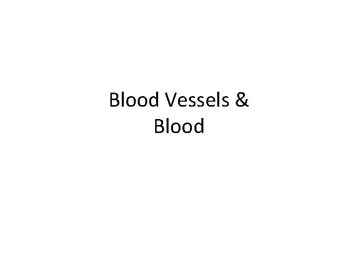 Blood Vessels & Blood 