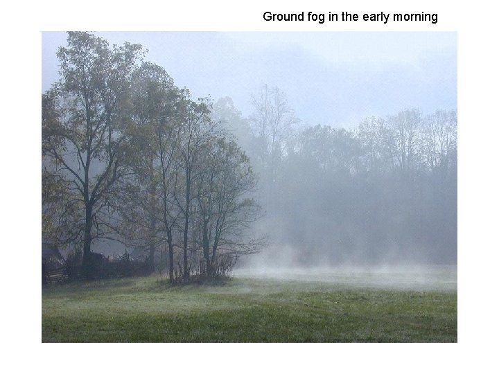 Ground fog in the early morning 