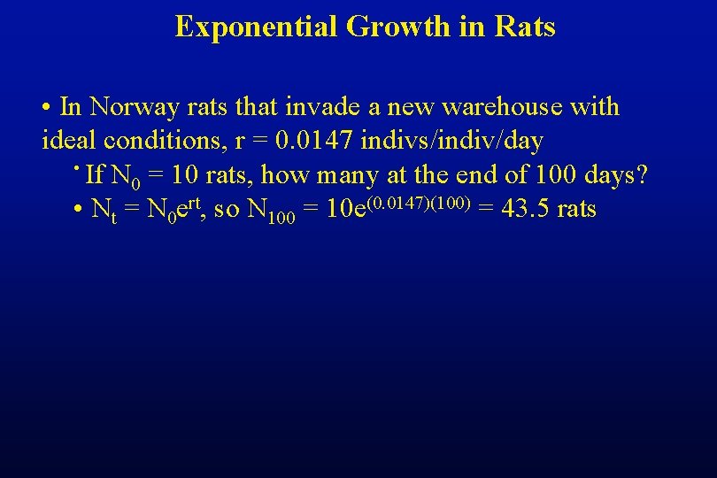 Exponential Growth in Rats • In Norway rats that invade a new warehouse with