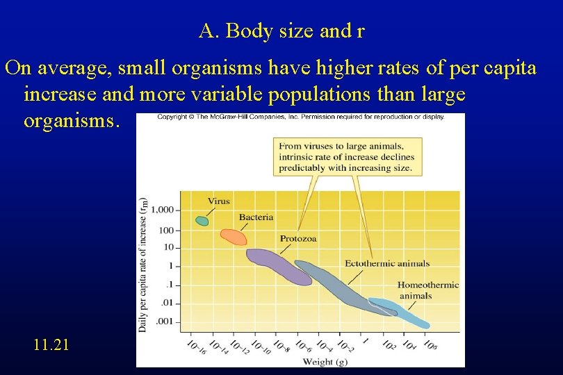 A. Body size and r On average, small organisms have higher rates of per