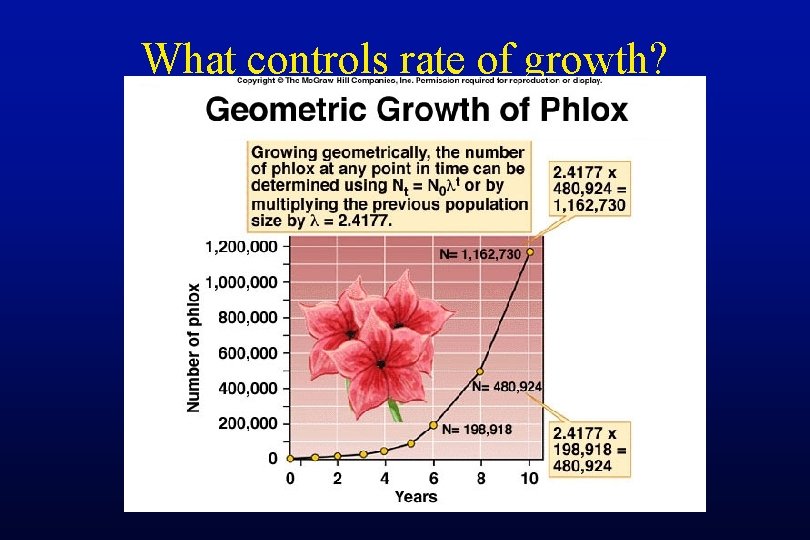 What controls rate of growth? 