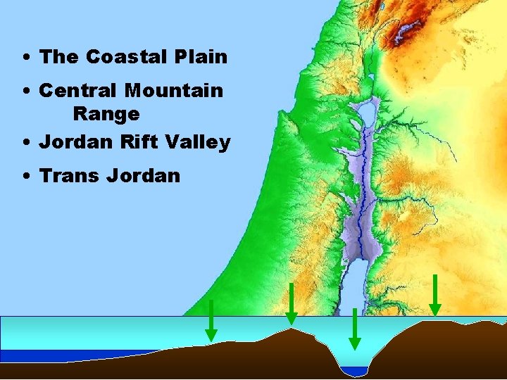  • The Coastal Plain • Central Mountain Range • Jordan Rift Valley •