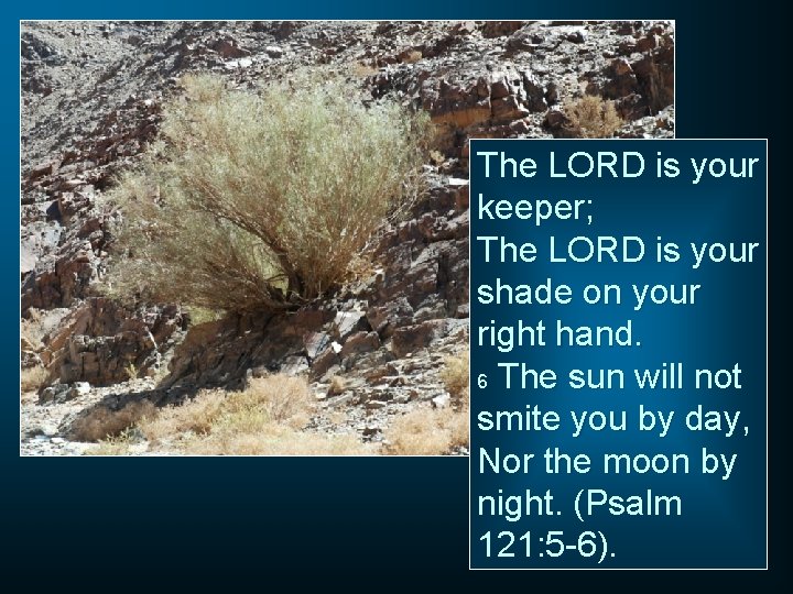 The LORD is your keeper; The LORD is your shade on your right hand.