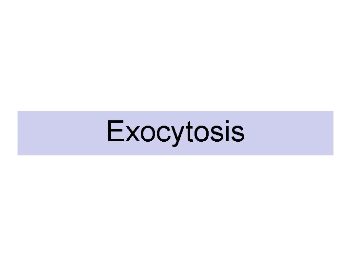 Exocytosis 