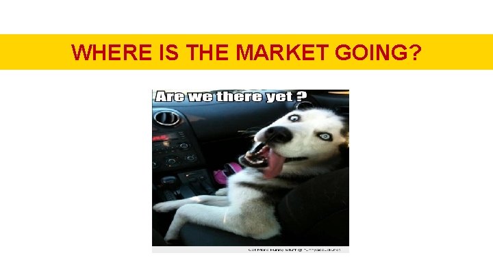 WHERE IS THE MARKET GOING? 