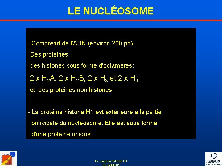 LE NUCLÉOSOME - Comprend de l'ADN (environ 200 pb) -Des protéines : -des histones