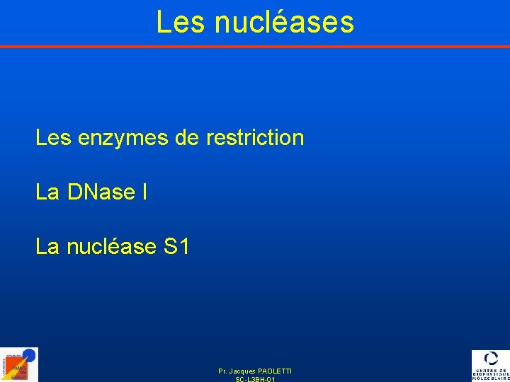 Les nucléases Les enzymes de restriction La DNase I La nucléase S 1 Pr.