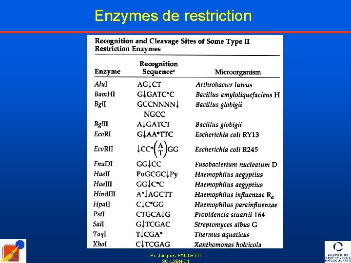 Enzymes de restriction Pr. Jacques PAOLETTI SC-L 3 BH-01 