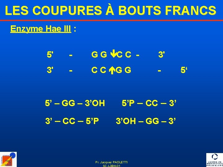 LES COUPURES À BOUTS FRANCS Enzyme Hae III : 5' - G G êC