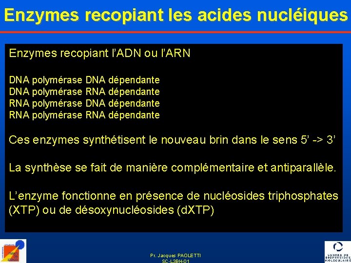 Enzymes recopiant les acides nucléiques Enzymes recopiant l’ADN ou l’ARN DNA polymérase DNA dépendante