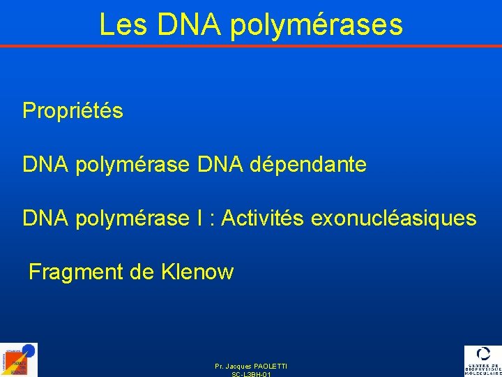 Les DNA polymérases Propriétés DNA polymérase DNA dépendante DNA polymérase I : Activités exonucléasiques