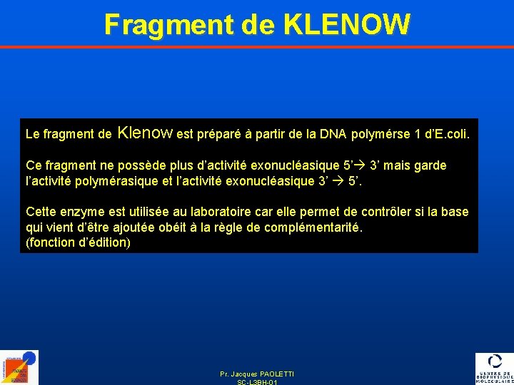 Fragment de KLENOW Le fragment de Klenow est préparé à partir de la DNA