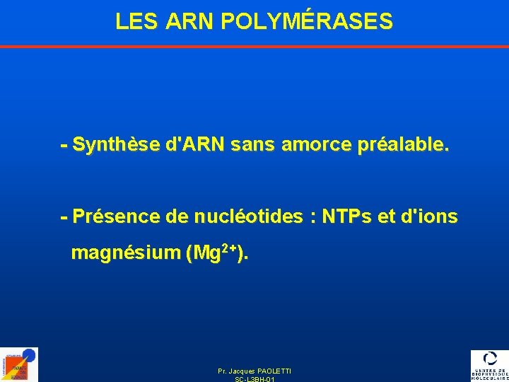 LES ARN POLYMÉRASES - Synthèse d'ARN sans amorce préalable. - Présence de nucléotides :