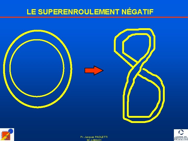 LE SUPERENROULEMENT NÉGATIF Pr. Jacques PAOLETTI SC-L 3 BH-01 