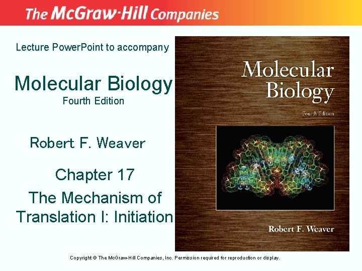 Lecture Power. Point to accompany Molecular Biology Fourth Edition Robert F. Weaver Chapter 17