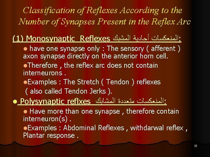 Classification of Reflexes According to the Number of Synapses Present in the Reflex Arc