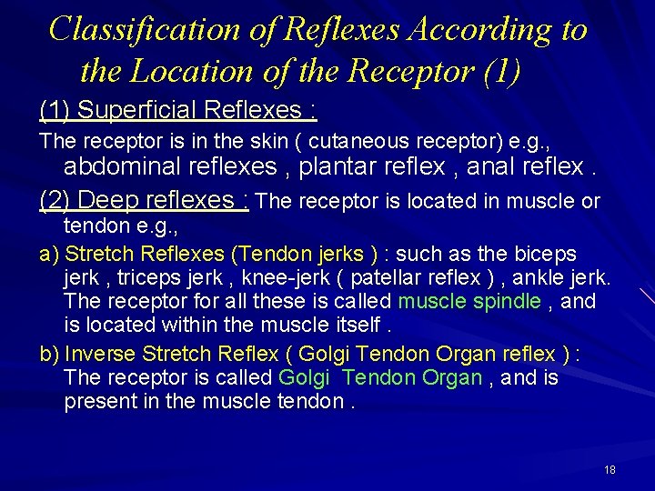 Classification of Reflexes According to the Location of the Receptor (1) Superficial Reflexes :