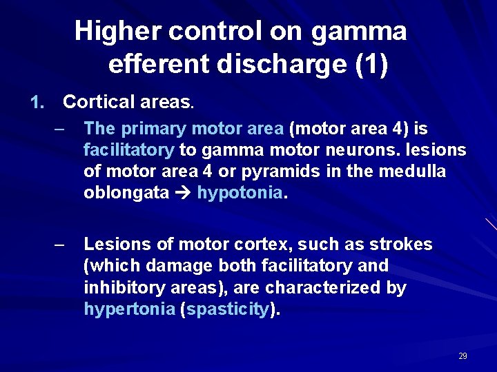 Higher control on gamma efferent discharge (1) 1. Cortical areas. – The primary motor