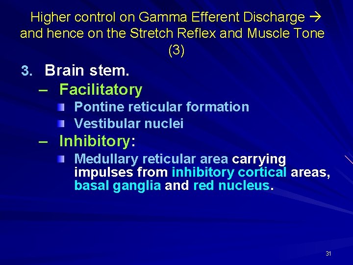 Higher control on Gamma Efferent Discharge and hence on the Stretch Reflex and Muscle