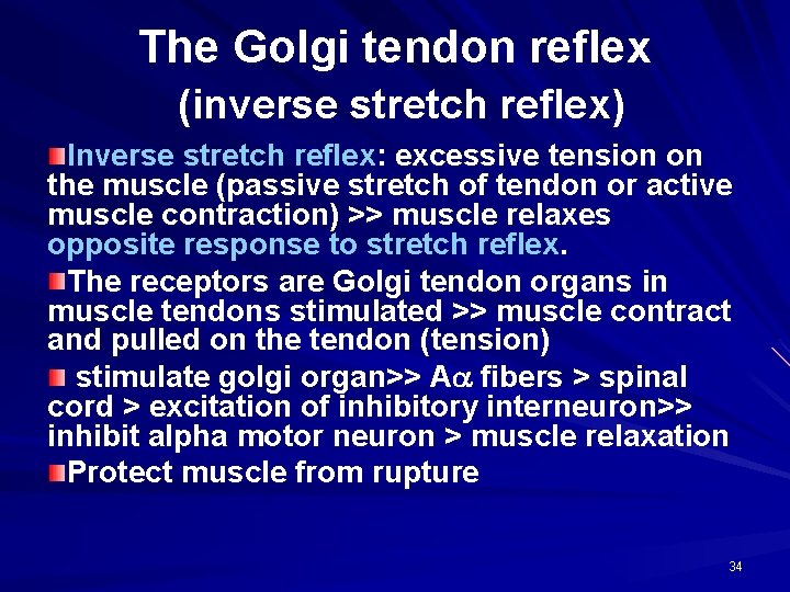 The Golgi tendon reflex (inverse stretch reflex) Inverse stretch reflex: excessive tension on the