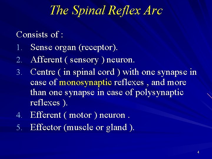 The Spinal Reflex Arc Consists of : 1. Sense organ (receptor). 2. Afferent (