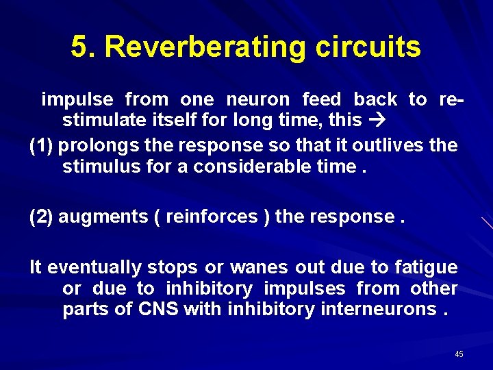 5. Reverberating circuits impulse from one neuron feed back to restimulate itself for long