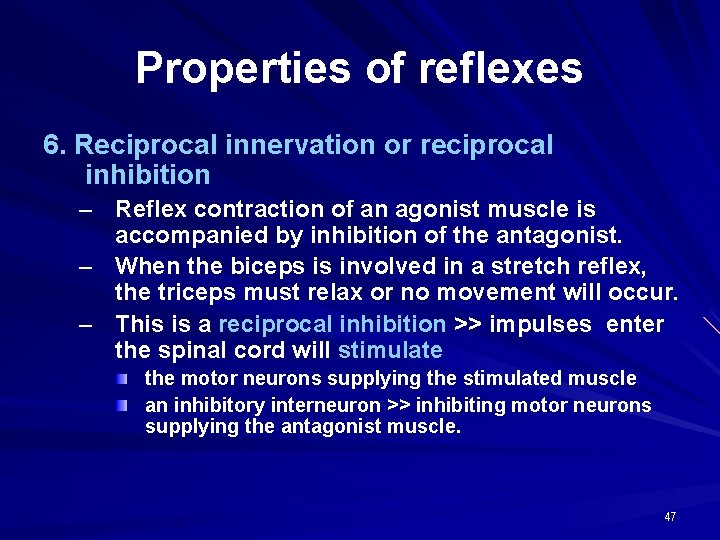 Properties of reflexes 6. Reciprocal innervation or reciprocal inhibition – Reflex contraction of an