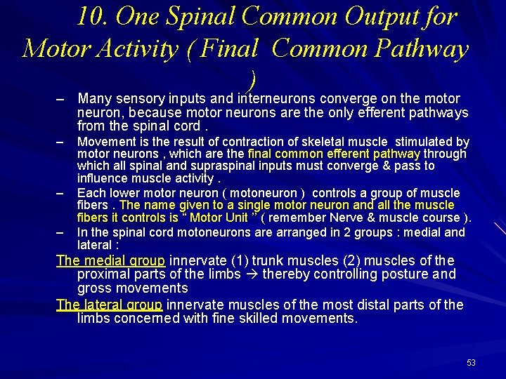 10. One Spinal Common Output for Motor Activity ( Final Common Pathway ) –